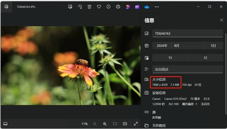 8K畅快拍EOS史上最顶影像系统 佳能EOS R5 Mark II评测