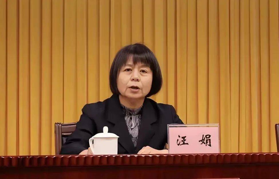 中央巡视期间，王年生官宣被查