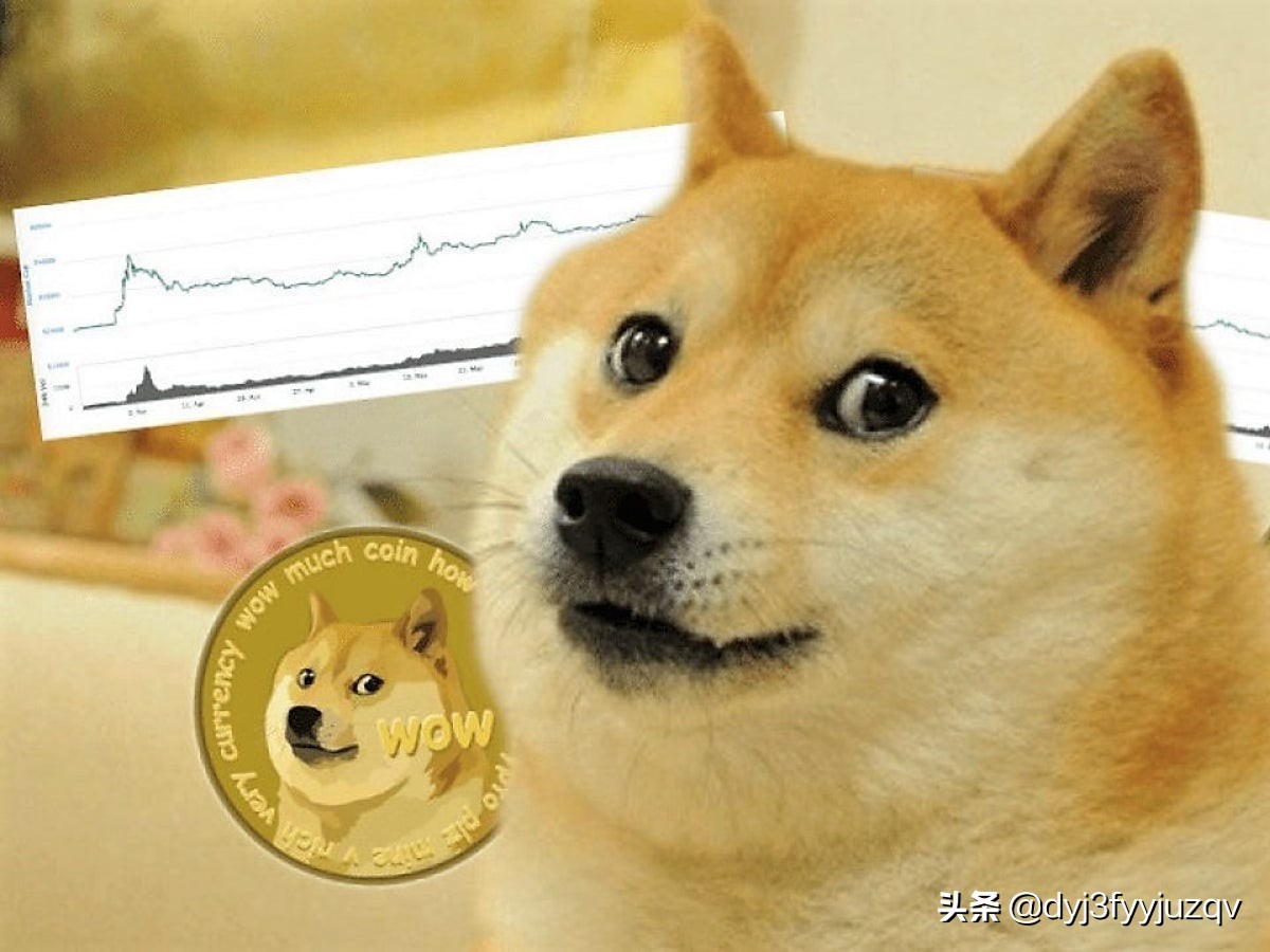 doge狗狗币最高多少(2021狗狗币最高涨到多少)