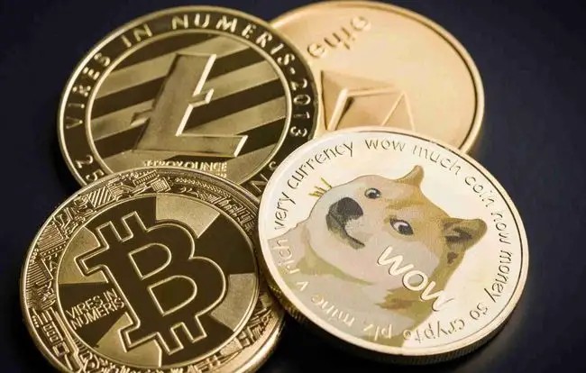 关于狗狗币doge合约地址的信息