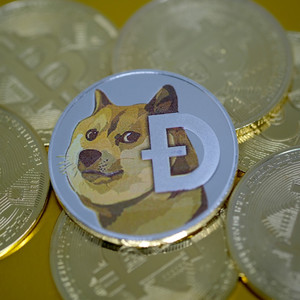doge币会减产么(doge币会不会停止增发)