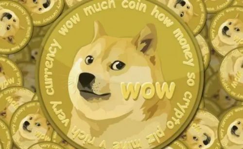包含doge币支持哪个钱包的词条