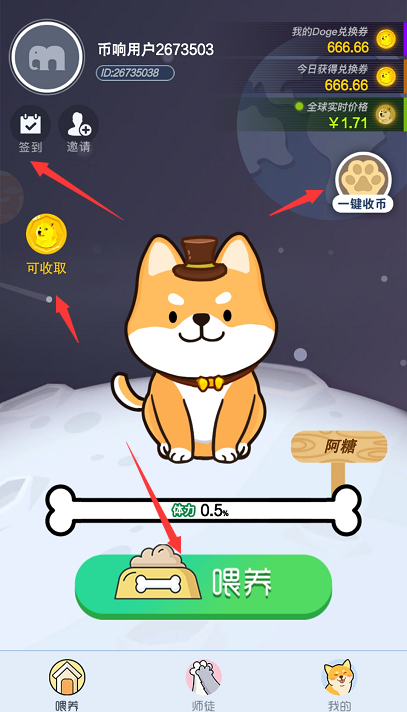 doge币实名认证(doge这个币怎么样)