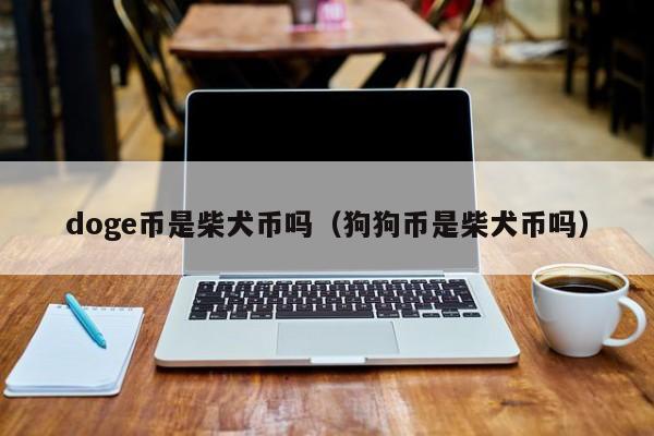 doge狗币排名(dogecoin狗狗币总量)