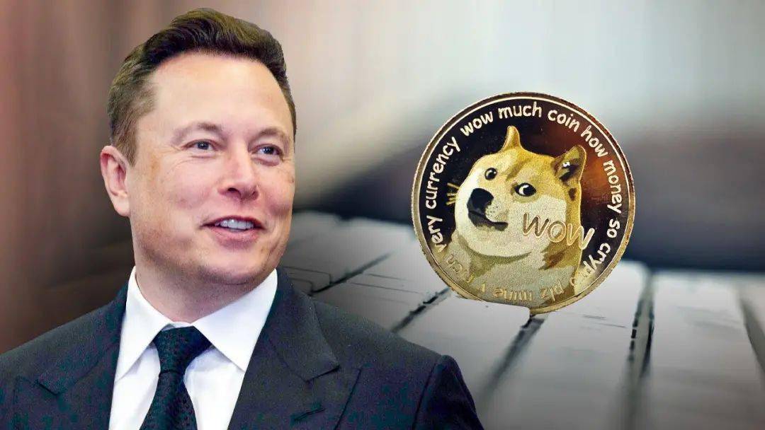 doge币历史最高价今日潜力(doge币2021年能涨到多少)