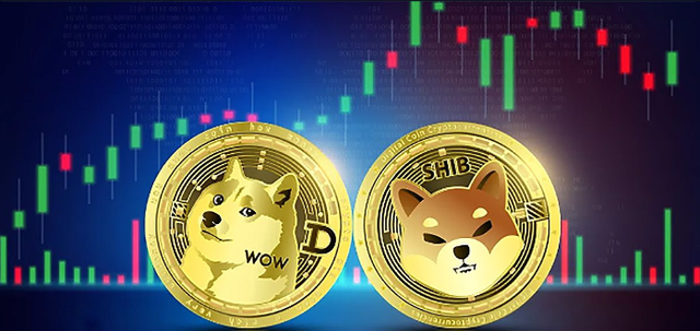 doge币发行价多少今日(doge是什么币,总发行量是多少)