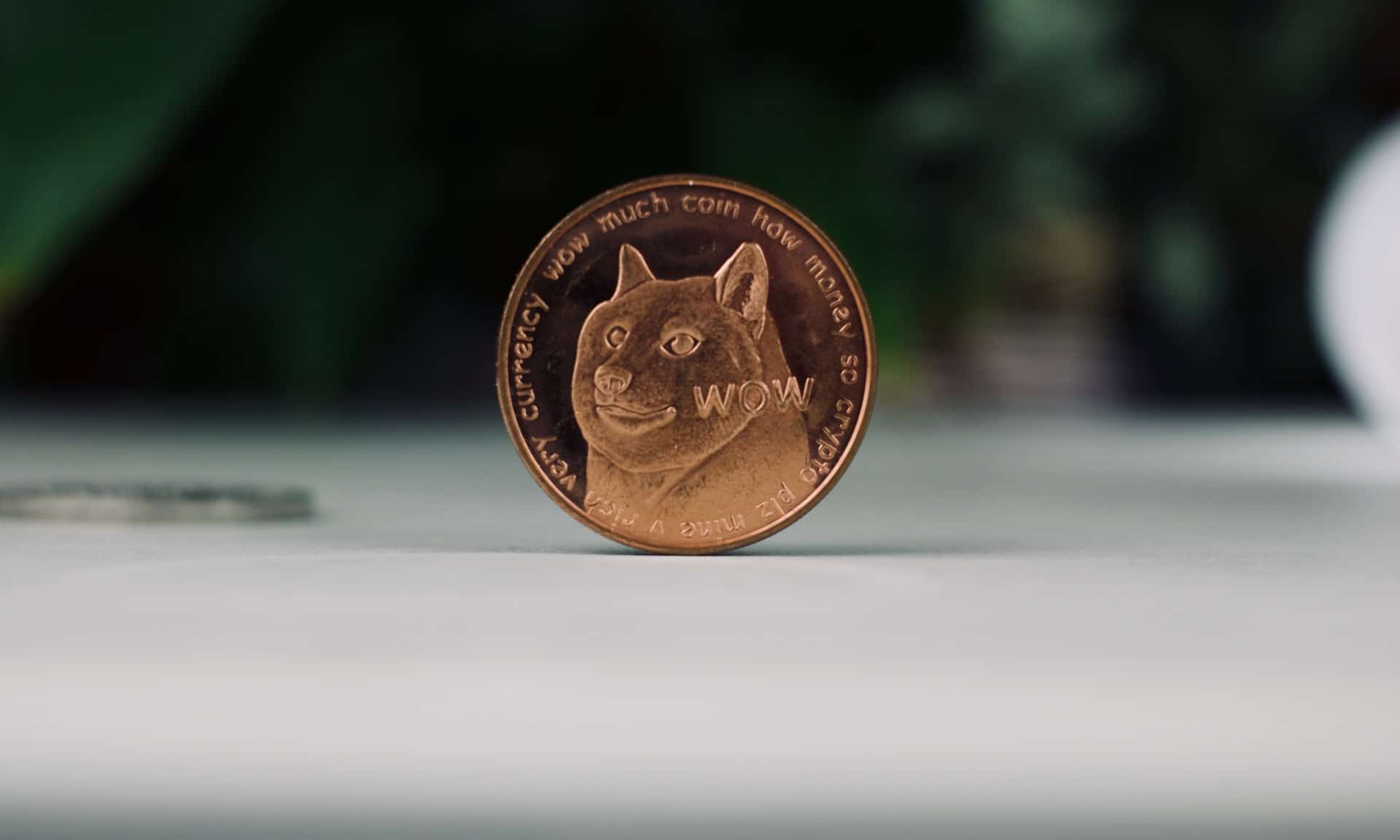 doge币2021年价格(doge币价格今日行情非小号)