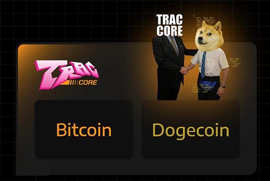 doge币模式(dog币有什么用)