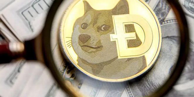 doge狗币密码(狗狗币的密钥能找回吗)