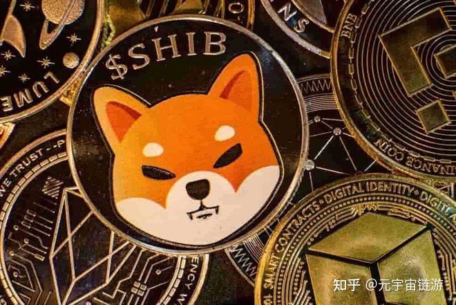 doge流动性挖币(流动性挖矿币涨了本金会涨吗)