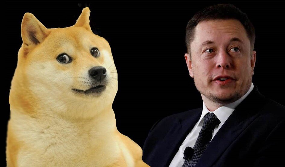 doge币ceo(Doge币总量多少)