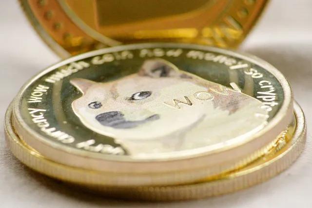 doge是什么意思什么币(doge是什么币种最新消息)