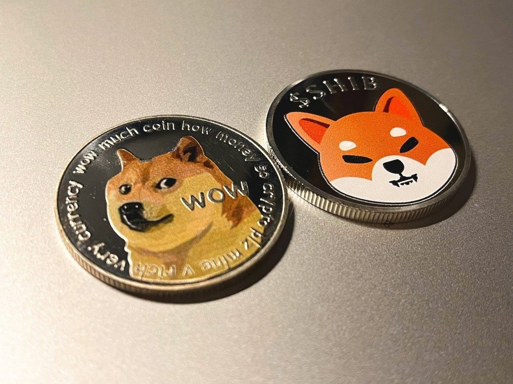 Xdoge币和doge(dog币和doge币的区别)