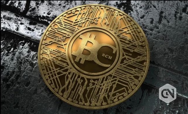 包含doge币怎么获得比特现金的词条