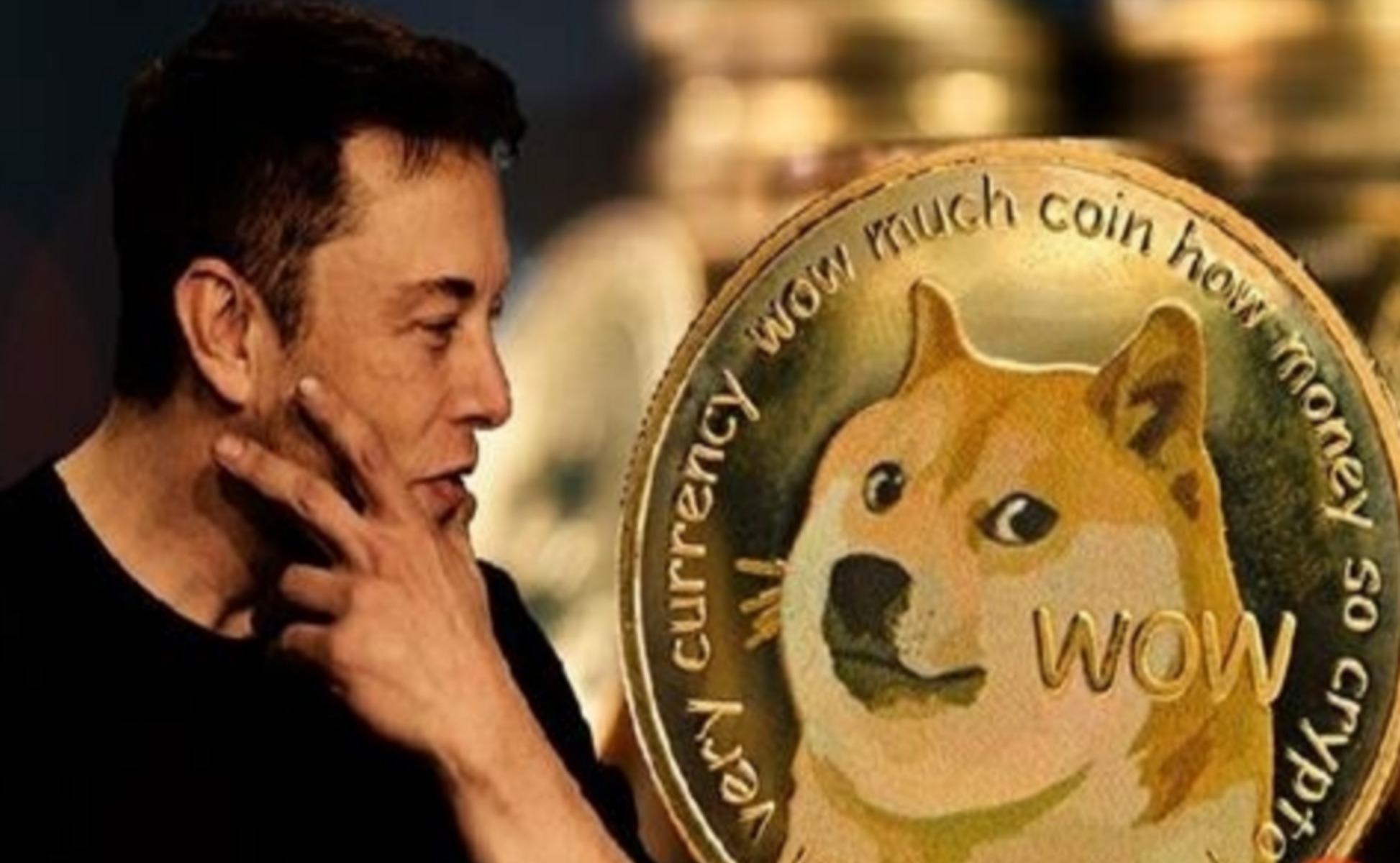 doge持币排行(doge币持币人数)