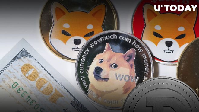 doge币操盘(doge币怎么样)