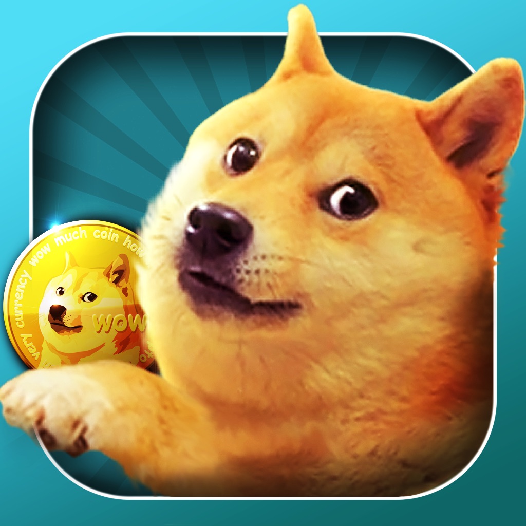doge币会减产么(doge币还会暴涨吗)