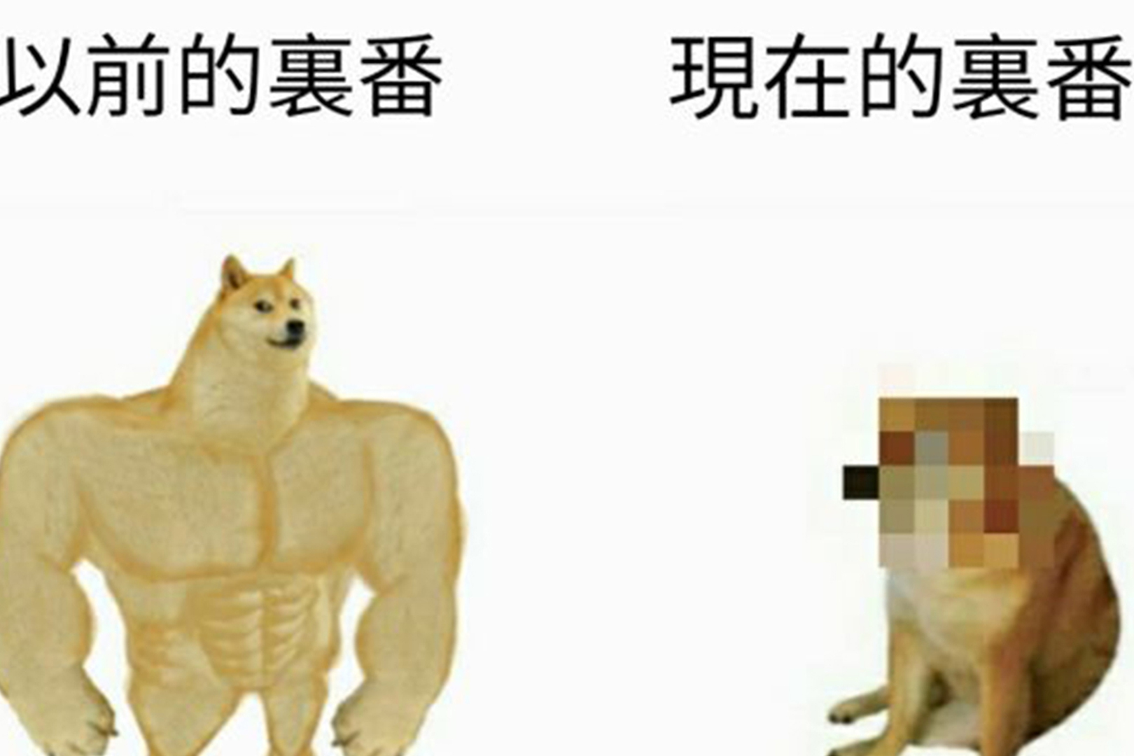 Xdoge币和doge(dogemoon币是什么币)