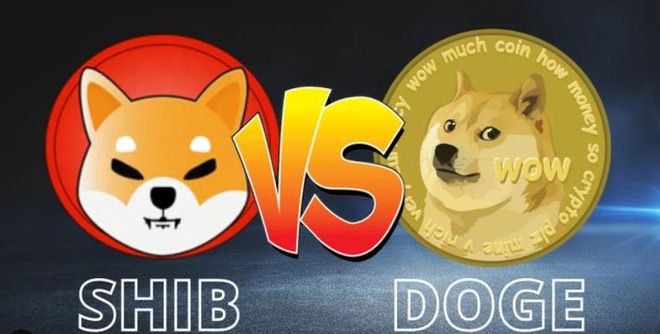 Xdoge币和doge(dogemoon币是什么币)