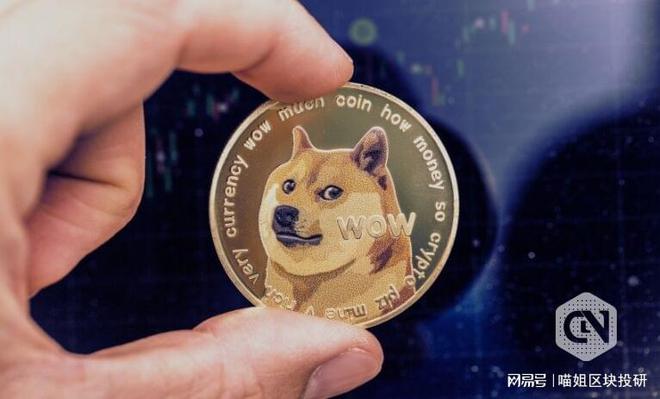 doge币咋样(doge币怎么了)