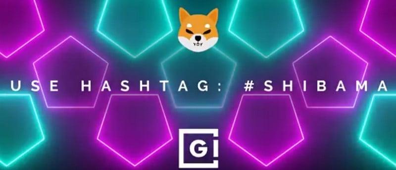 shiba币和doge币(bag币和bags币的区别)
