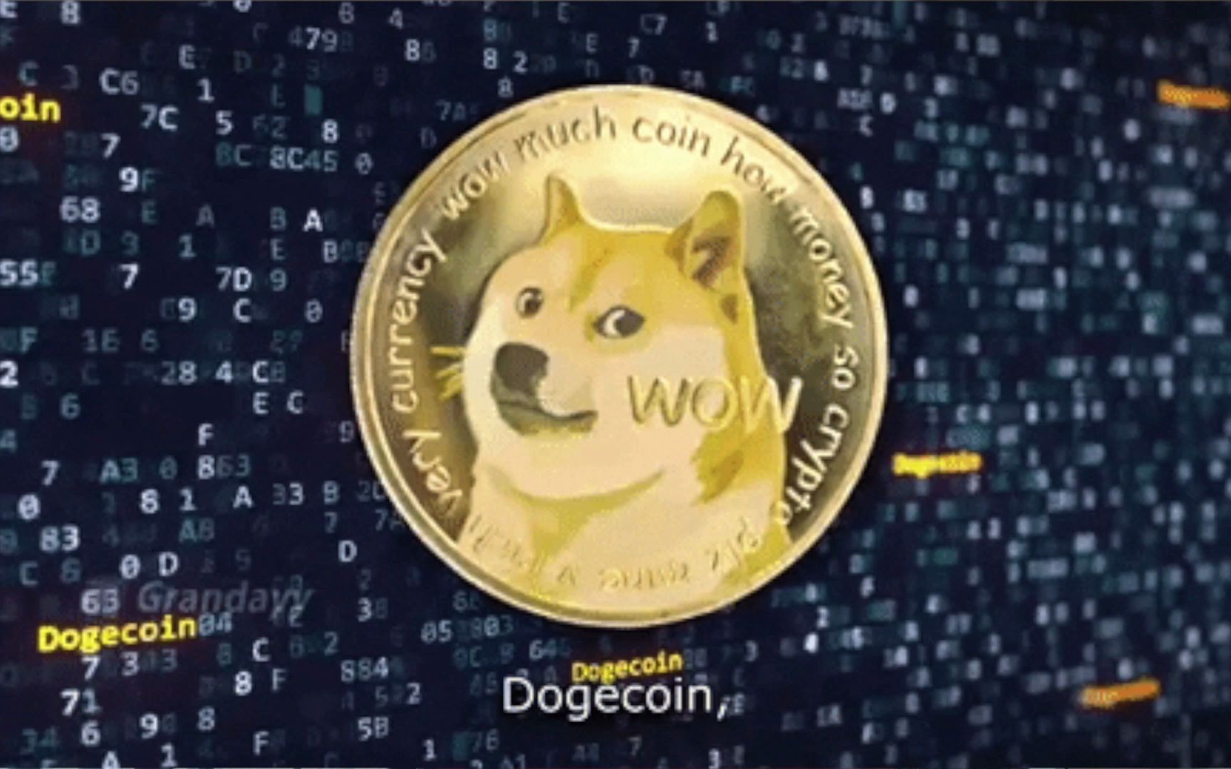 doge狗狗币官网(doge狗狗币官方下载)