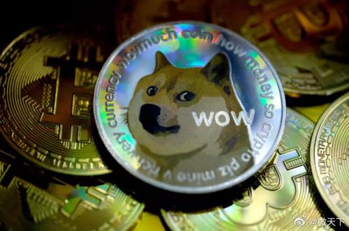 doge币现在可以入手吗(doge币2021年能涨到多少)