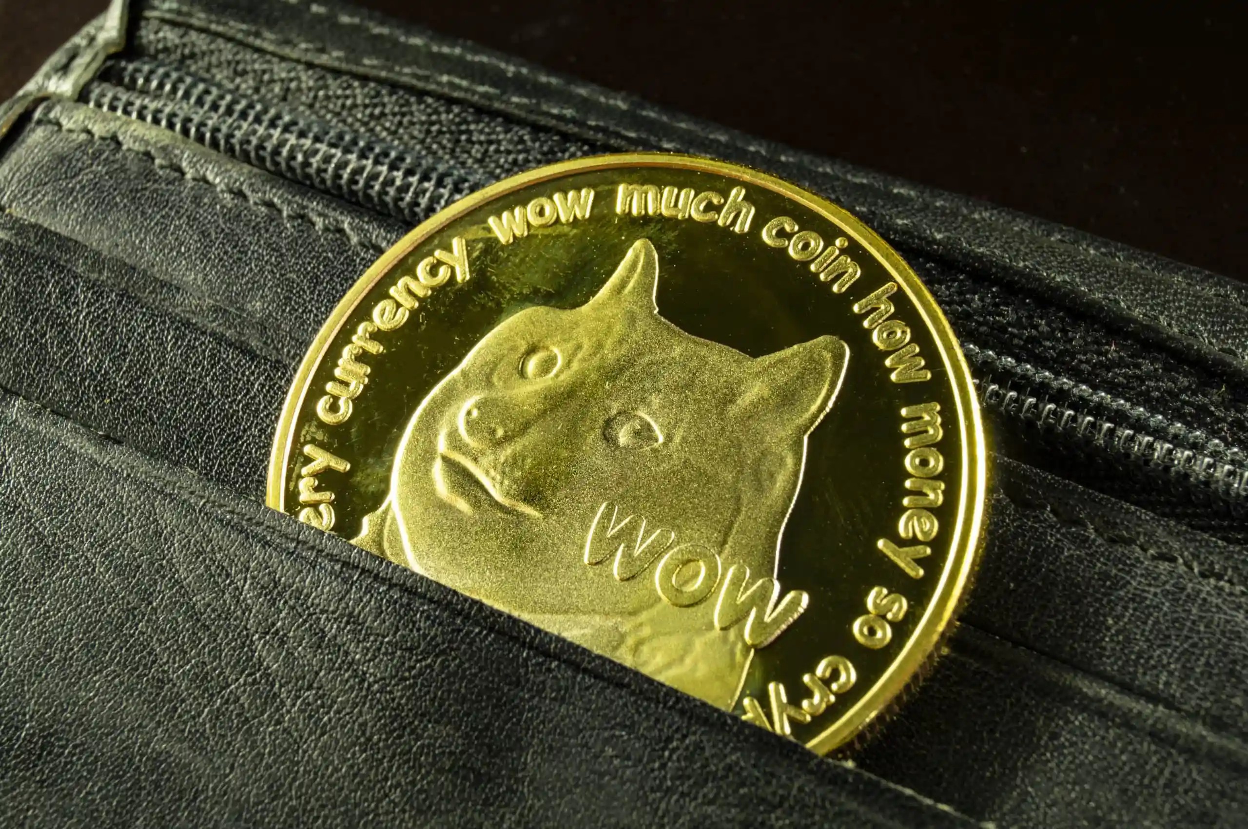 包含doge币放什么钱包升值的词条