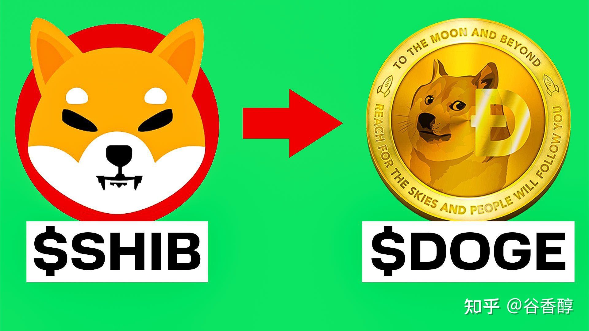 doge狗狗币(doge狗狗币合约地址)