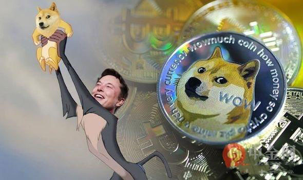 doge币可以长期持有吗(doge币2021年能涨到多少)