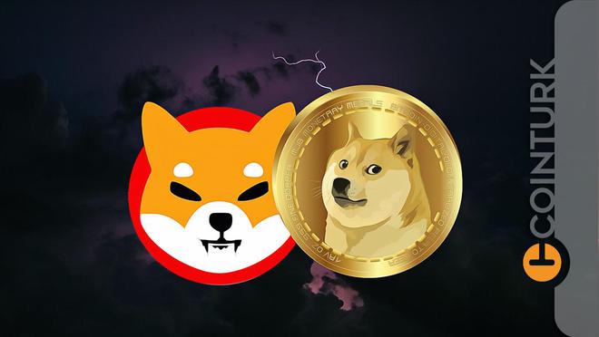 doge币初始价格(doge币最开始多少钱)