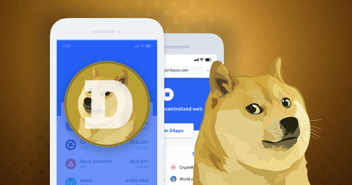 doge狗狗币存储(狗狗币怎么保存到u盘)