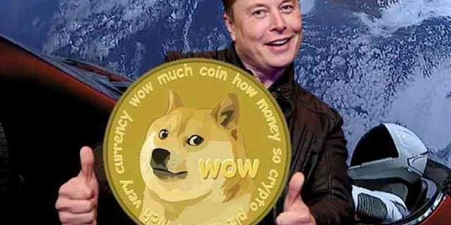 doge币什么时候开始的(doge是什么币,总发行量是多少)