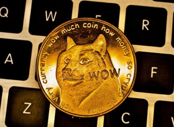 2doge币介绍(2doge币在哪些平台上市)