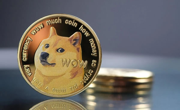 怎么区分两种doge币(dog和doge是两种币吗)
