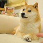 doge币进期有行情吗(doge币2021年能涨到多少)