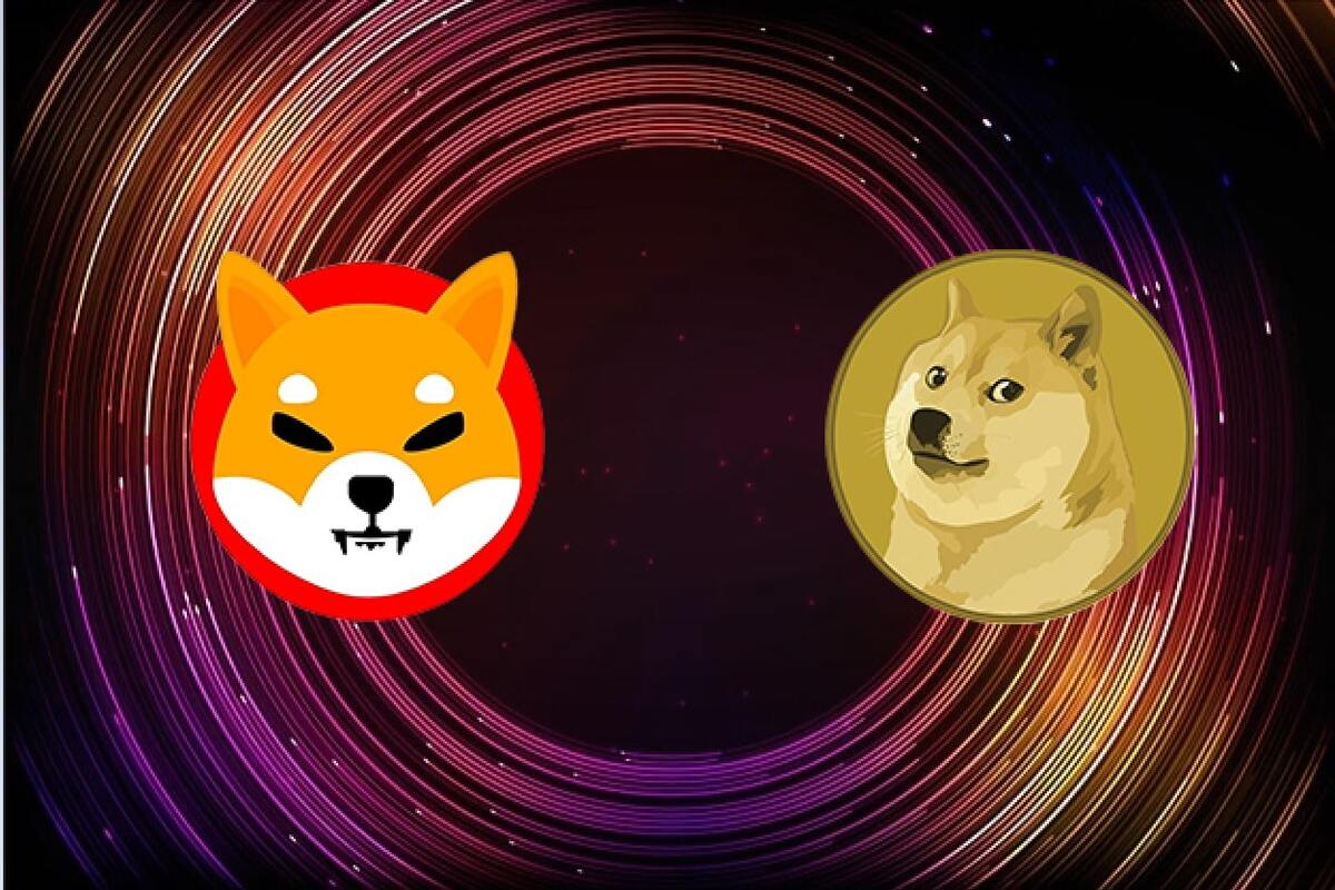 shib币和doge币(shib币和doge币哪个潜力大)