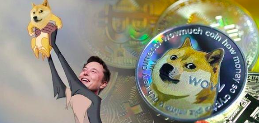 doge传销币(htbig传销币)