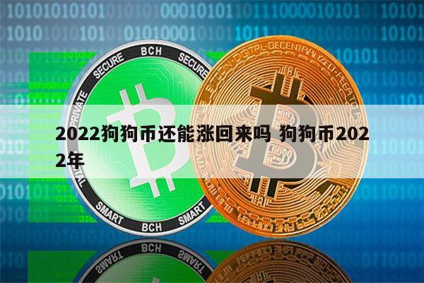 王者荣耀doge狗币(王者荣耀狗年限定皮肤多少钱)