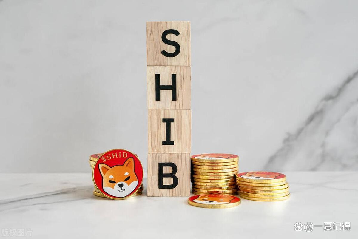shib币与doge币(shib和doge币的区别)