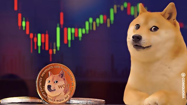 关于doge币哪些平台支持支付的信息
