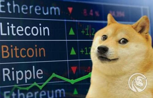 doge的持币地址数量(doge钱包地址什么意思)