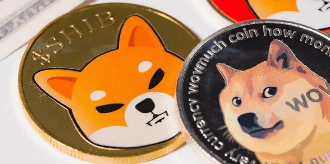 doge币2021年价格(doge币2021年价格走势图比特币家园)
