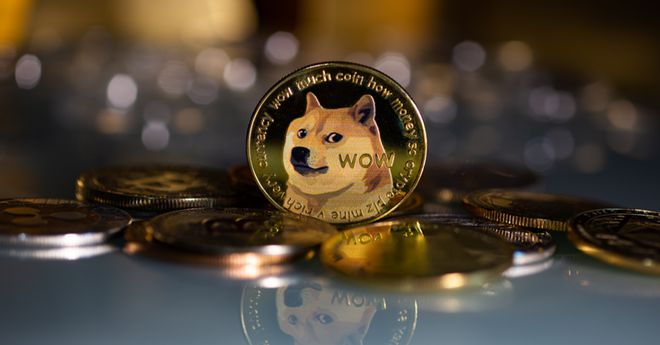 doge什么币种(dogemoon币是什么币)