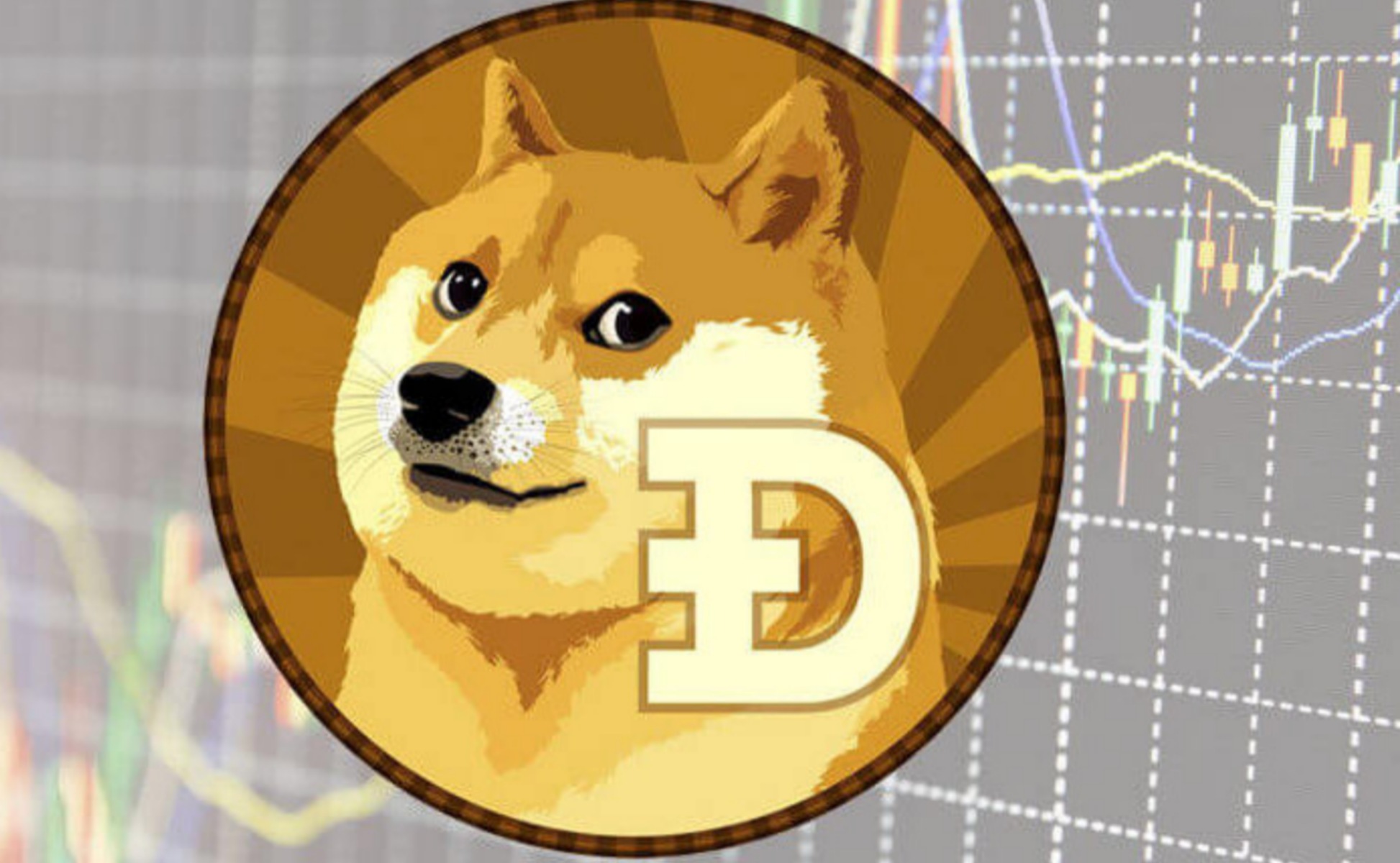 doge狗狗币最高多少(doge狗狗币能涨到多少)