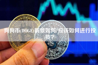 doge币发展前景(doge币2021年能涨到多少)