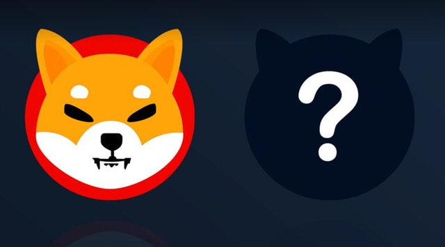 doge币最新资讯(doge币有投资价值吗)