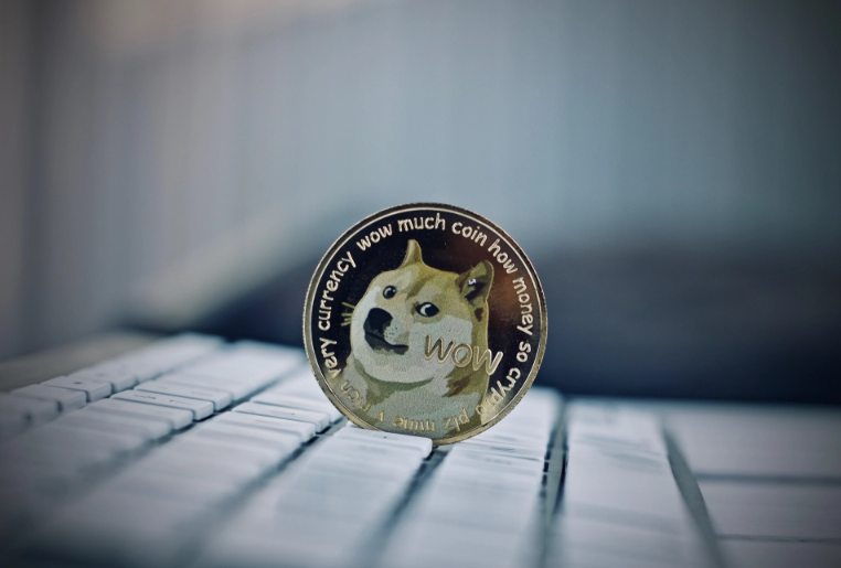 动物币doge的上市价格的简单介绍