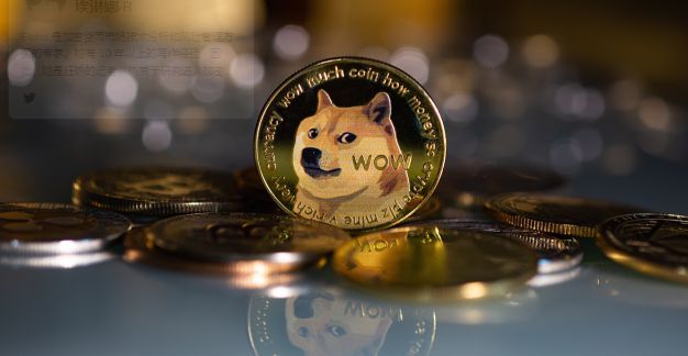 狗屎币和doge(狗屎币和狗狗币区别)