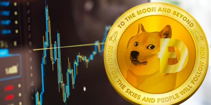 狗币doge视频(dogecoin狗狗币)